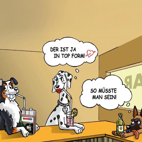 GladiatorPLUS Hund - die Milieufütterung